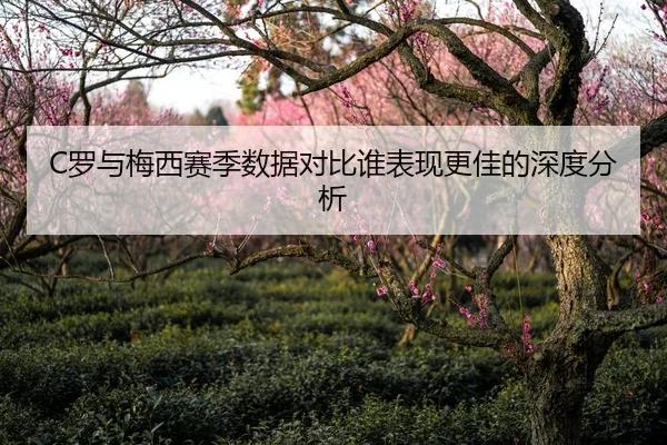 C罗与梅西赛季数据对比谁表现更佳的深度分析